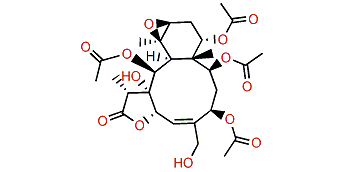 16-Hydroxymilolide A